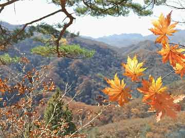 雙城市天氣預報最新